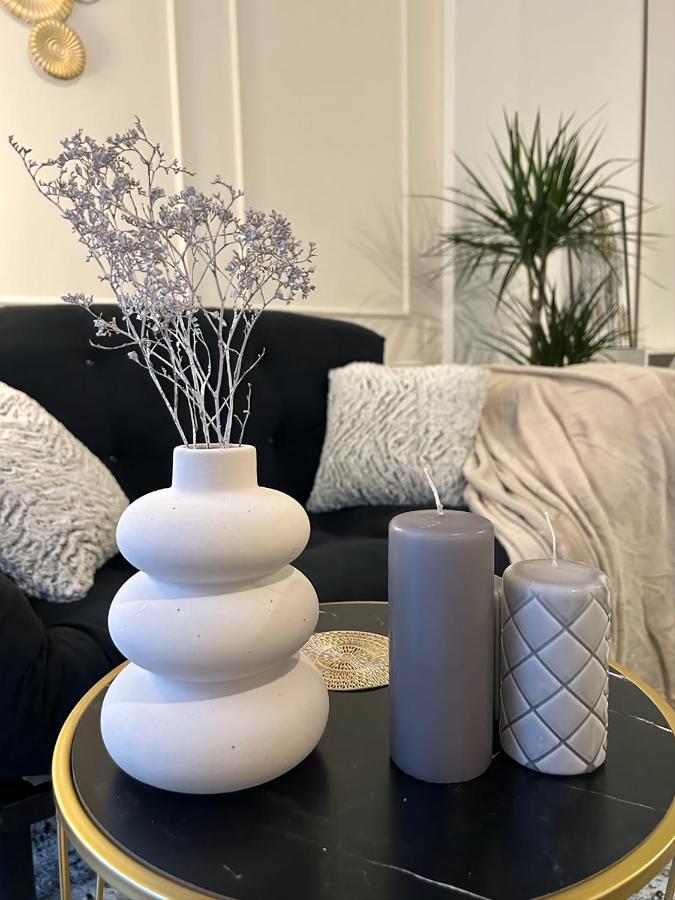 布加勒斯特Luxury Mansion公寓 外观 照片