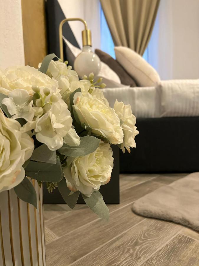 布加勒斯特Luxury Mansion公寓 外观 照片