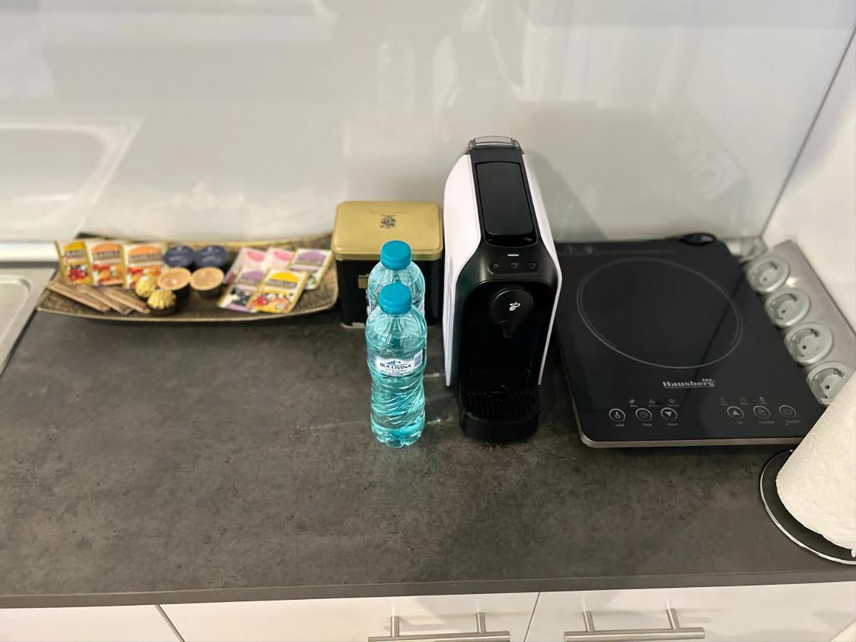 布加勒斯特Luxury Mansion公寓 外观 照片