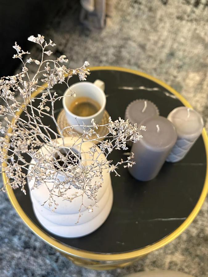 布加勒斯特Luxury Mansion公寓 外观 照片