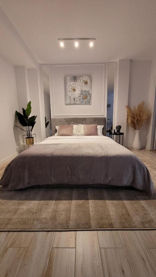 布加勒斯特Luxury Mansion公寓 外观 照片