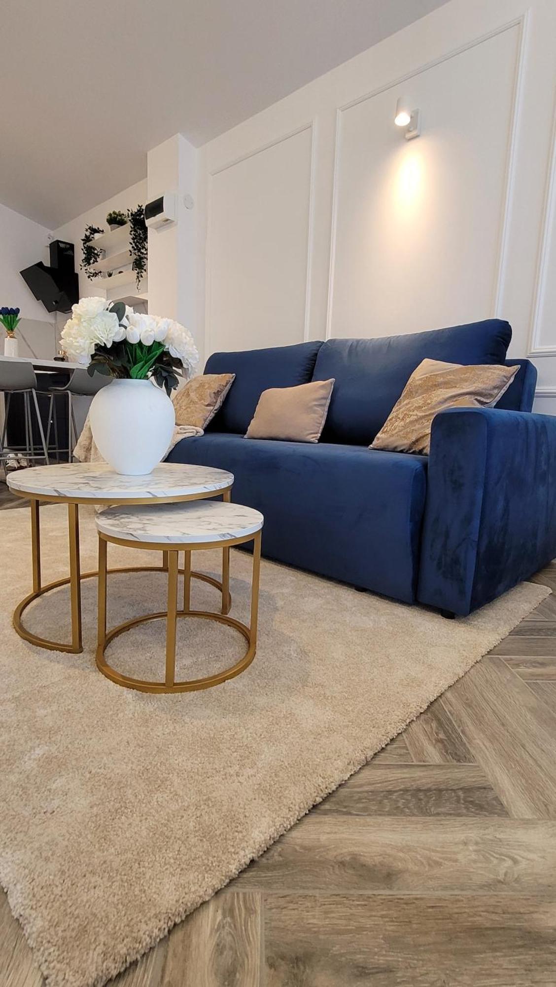 布加勒斯特Luxury Mansion公寓 外观 照片